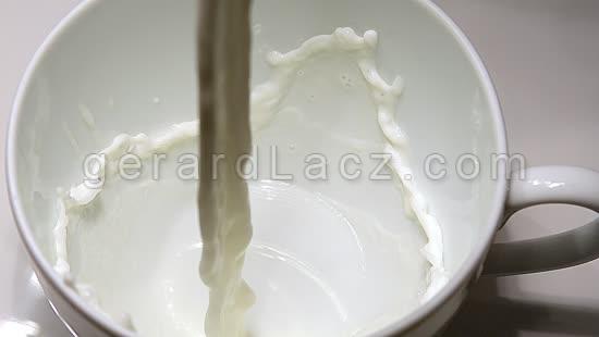 Milk