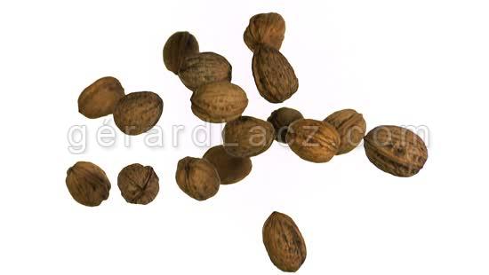Dry Fruits