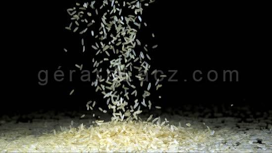 Rice