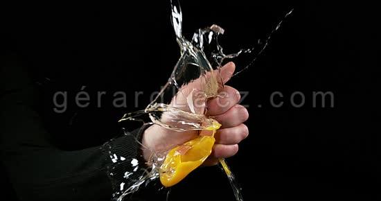 Egg